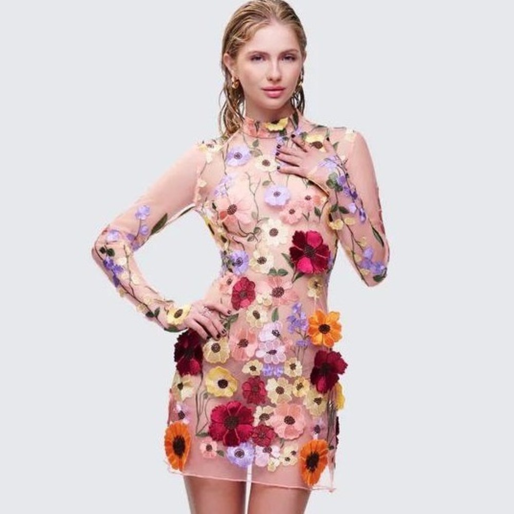 Finesse Mini Dress Women XS Pink Floral Embroidered Sheer Mesh Fairy Party Swift